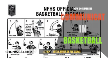 Referees' Communication Strategies in Basketball