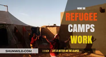 Understanding Refugee Camps: Operations, Challenges, and Community Life Explained