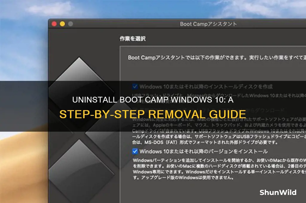 how do remove a boot camp windows 10 instllation