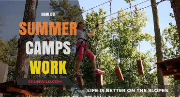 Exploring Summer Camps: Structure, Activities, and Benefits for Kids