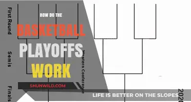 Understanding the Basketball Playoffs: A Guide