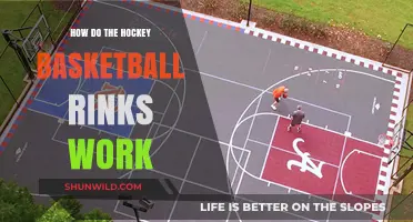 Basketball and Hockey Rink Design Explained