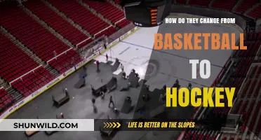 Transitioning from Basketball to Ice Hockey