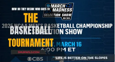 Deciding Basketball Tournament Participants: Selection Criteria Explained
