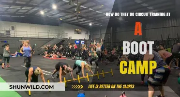 Circuit Training at Boot Camp: Intense Workouts, Efficient Results