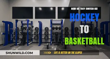 Switching Surfaces: From Ice Hockey to Basketball