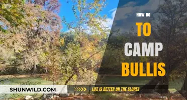 Essential Tips for a Successful Camping Trip at Camp Bullis