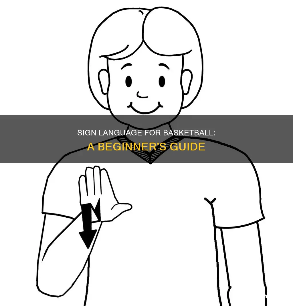 how do u say basketball in sign language