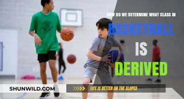 Basketball Class Determination: Key Factors and Considerations