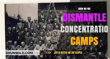 Ending Injustice: Strategies to Dismantle Concentration Camps and Restore Humanity