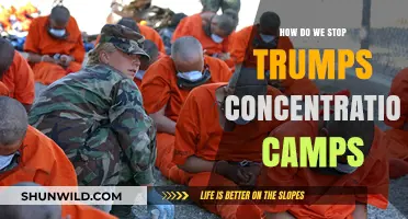 Ending Trump's Detention Camps: Strategies for Justice and Humanity