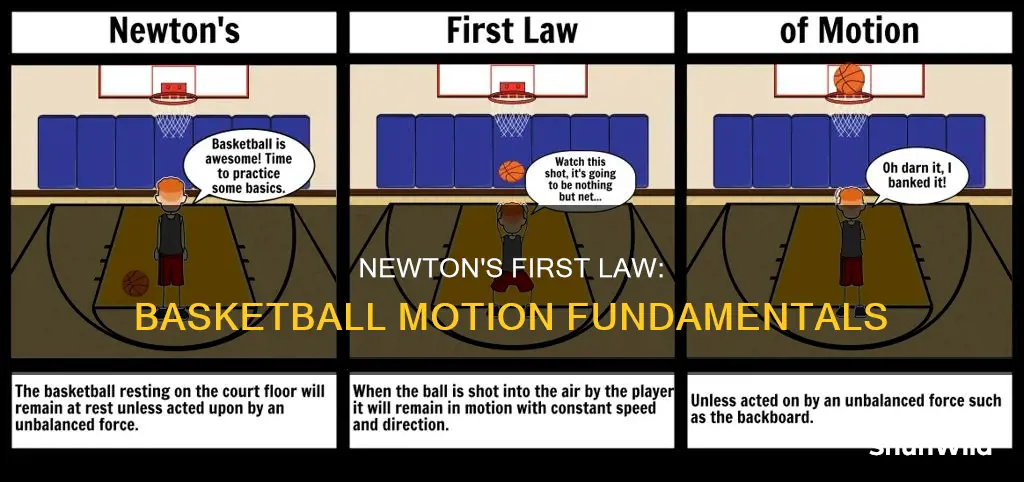how do we use newton