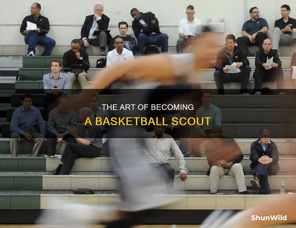 how do you become a basketball scout