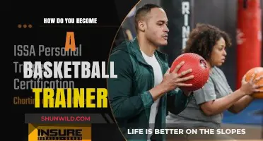 Steps to Becoming a Successful Basketball Trainer
