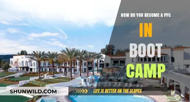 Earning PFC Status: Boot Camp Strategies for Rapid Rank Advancement