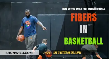 Explosive Power: Building Fast-Twitch Muscle Fibers for Basketball Performance