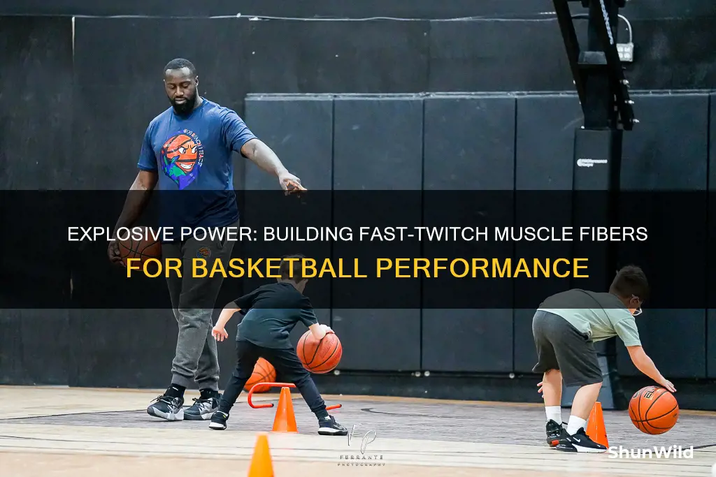 how do you build fast twitch muscle fibers in basketball