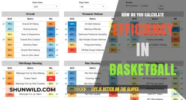 Basketball Efficiency: Calculating Player Performance