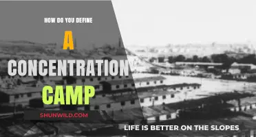 Understanding Concentration Camps: Definition, History, and Modern Implications