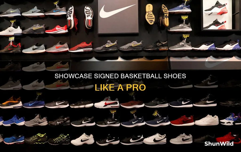 how do you display signed basketball shoes