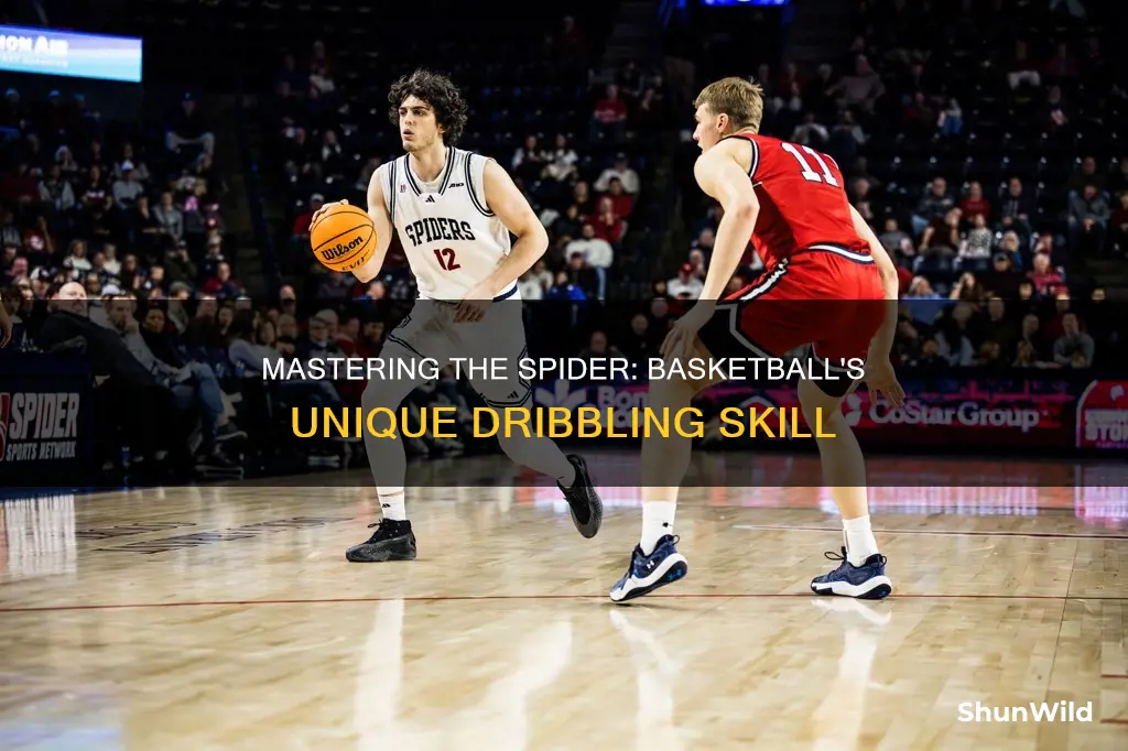 how do you do the spider in basketball