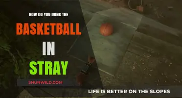 Dunking in Stray: Mastering the Basketball Court