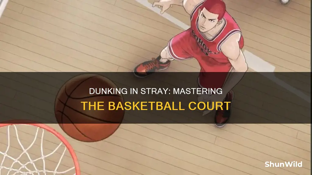 how do you dunk the basketball in stray