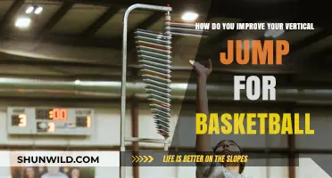 Explosive Leaps: Maximizing Your Vertical Jump for Basketball