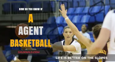 Spotting an Agent: Basketball Edition
