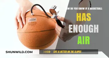 Inflation Inspection: Basketball Bounce