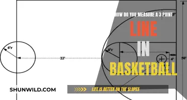 Measuring the 3-Point Line: Basketball Court Geometry