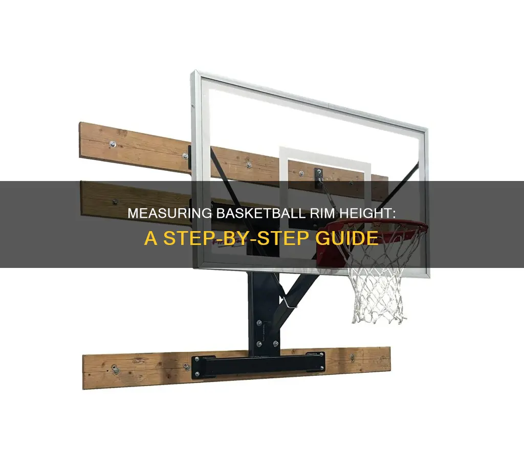 how do you measure basketball rim height