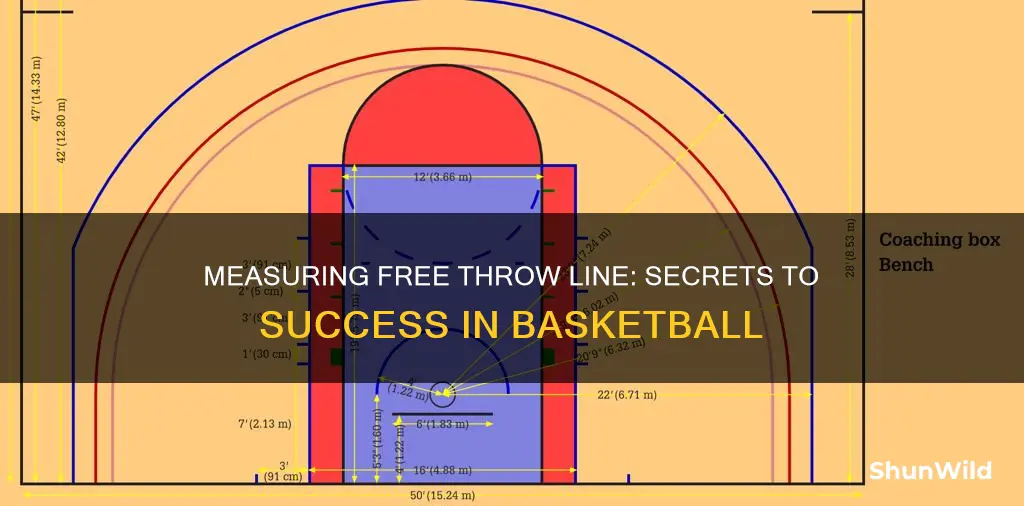 how do you measure the free throw line in basketball