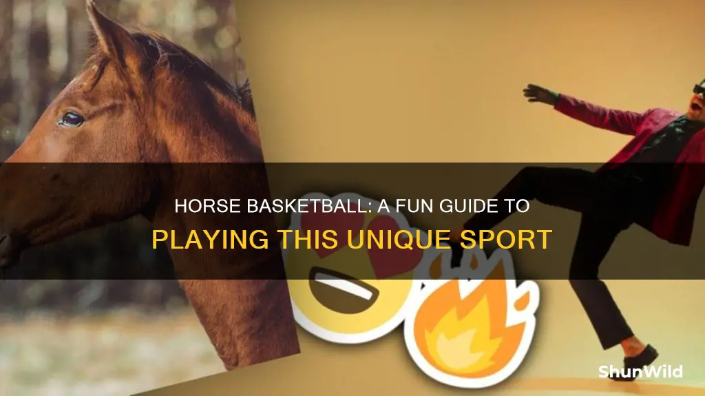 how do you place horse basketball