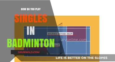 Badminton Singles: Rules, Strategies and Techniques