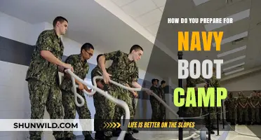 Navy Boot Camp Prep: Essential Tips for Physical and Mental Readiness