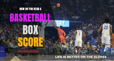 Unraveling the Mystery: A Beginner's Guide to Reading Basketball Box Scores