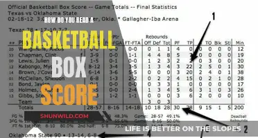 Understanding Basketball Box Scores: A Beginner's Guide