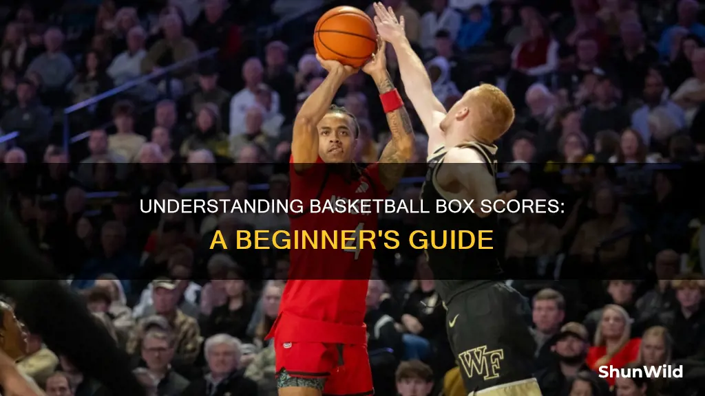 how do you read a basketball box score