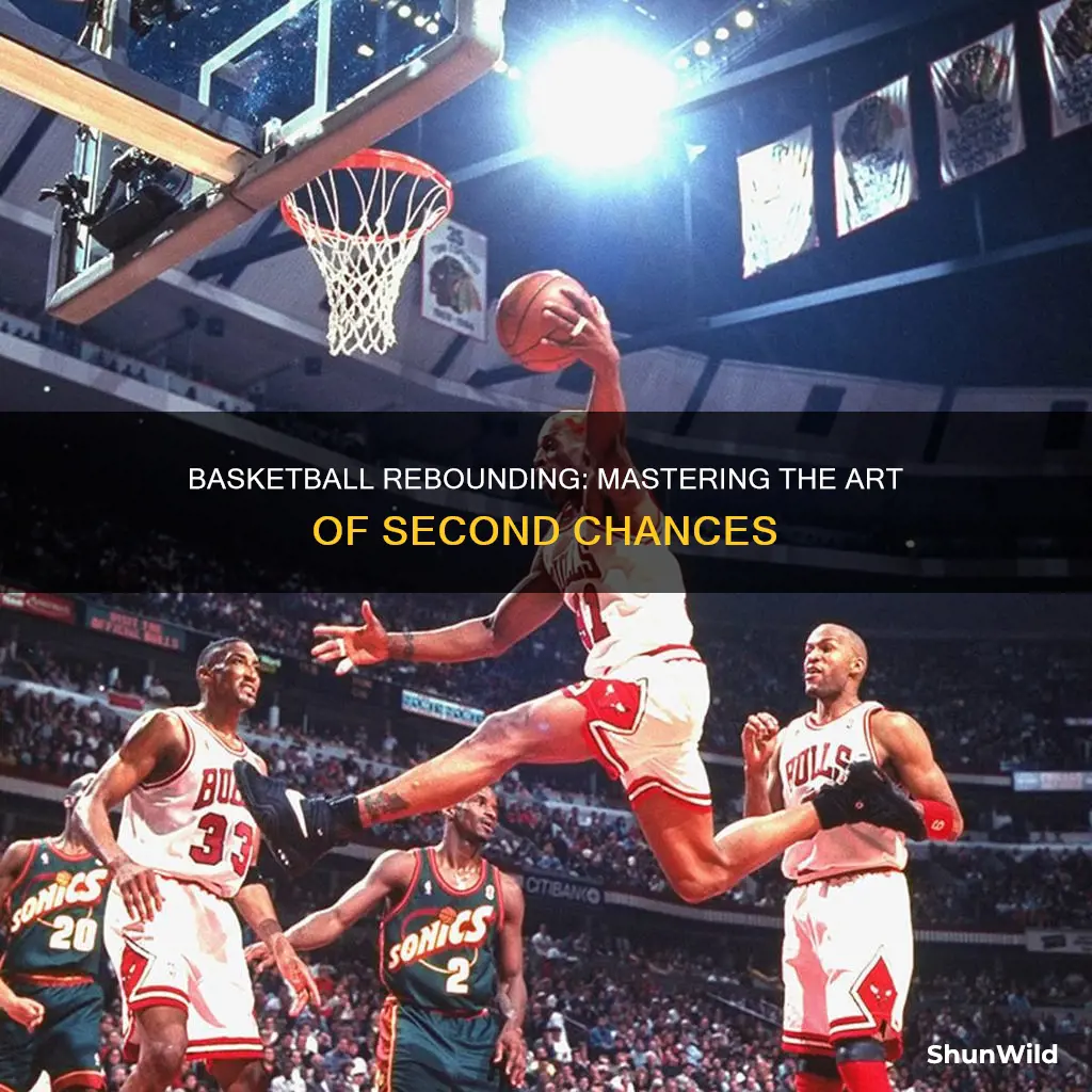 how do you rebound in basketball