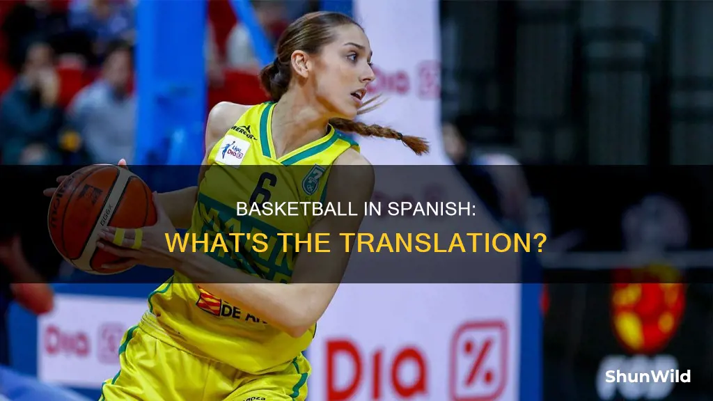 how do you say basketball in dpanish