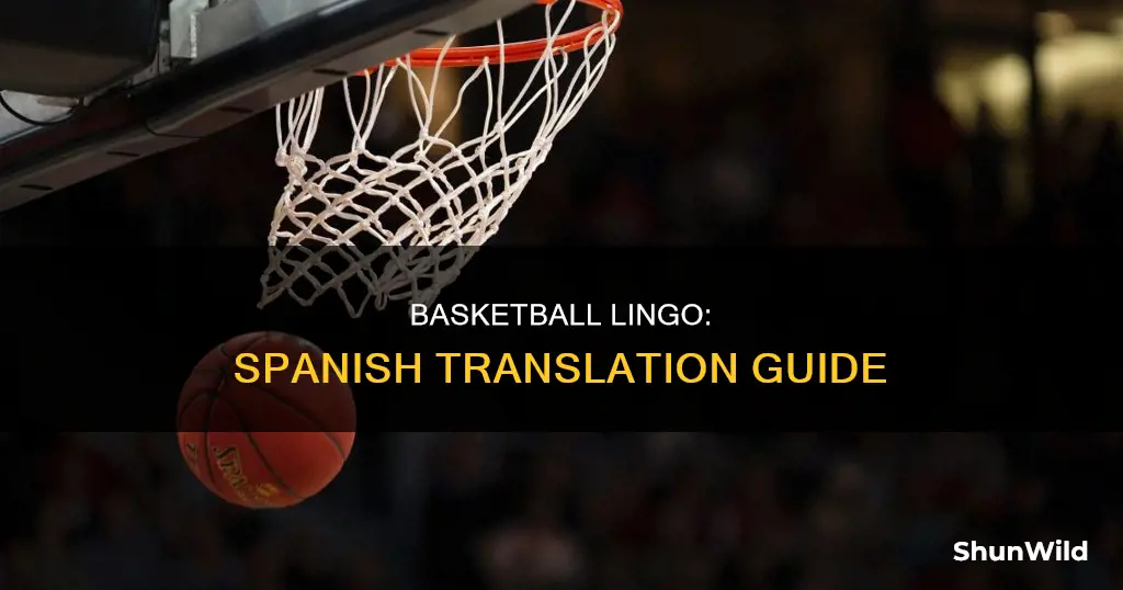 how do you translate basketball to spanish