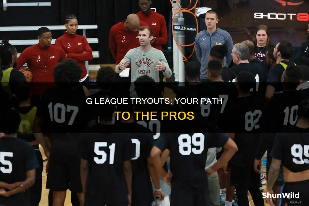 how do you try out for g league basketball