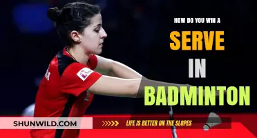Mastering the Badminton Serve: Strategies for Success