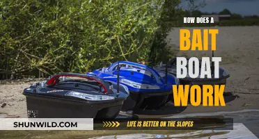 Understanding the Working Principle of a Bait Boat