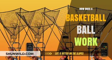 The Science of Basketball: How It Works