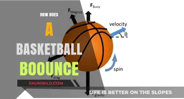 The Science of Basketball Bounce: Understanding the Physics