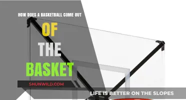 The Science Behind Basketball Swishes and Bounces