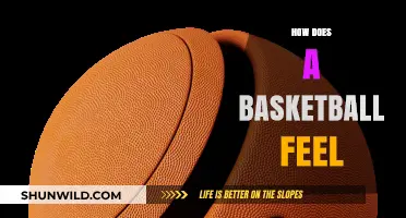The Sensory Experience of Basketball