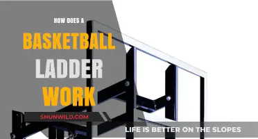 Basketball Ladder Mechanics: How Does it Work?
